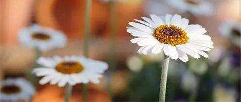 只有过滤生活中的杂质，您才能看到自己的内心丰盈，品尝到生活的真true 1