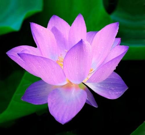 关于学习变得灵活的名言