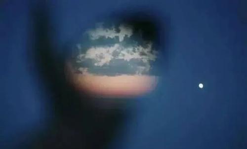 看一看爱的句子