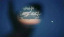 看透了爱情的句子