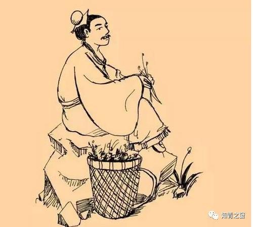 关于秋天的俗语