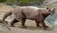 身强力壮造句大全