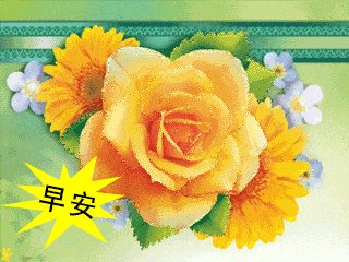 与花有关的问候