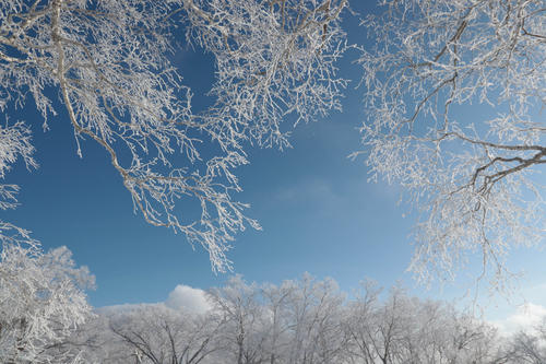 表示玩雪的句子