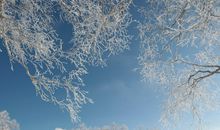 表达玩雪的句子