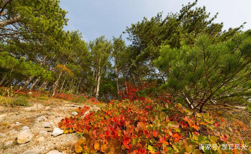 关于秋天的谚语