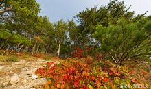 谚语关于秋天的