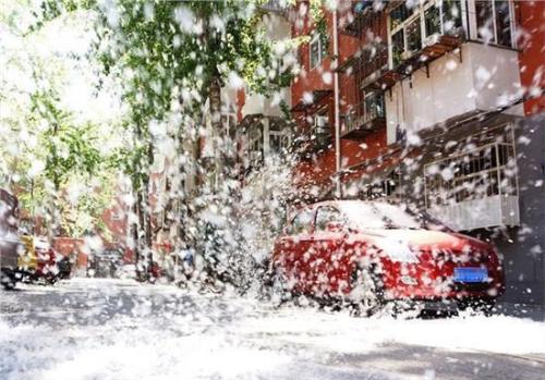 描述柳絮的寓言句子