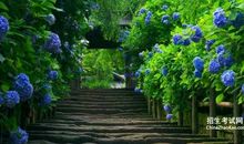 春天的风景比喻句