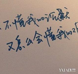 关于信任的审美句子