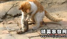 关于瀑布的歇后语