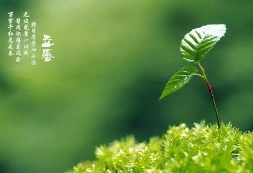 与丽春有关的农业谚语