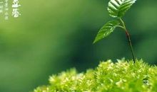 与立春有关的农业谚语