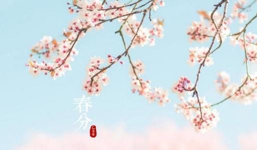 春分谚语