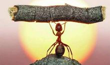 朋友圈的正能量的说说