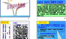 留心观察的谚语