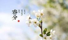 节气春分的谚语
