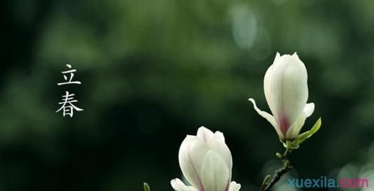 关于丽春的谚语