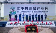 形容高粱的比喻句