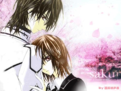 吸血鬼骑士经典行情