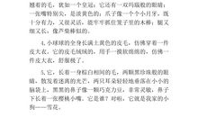 关于鸟儿的比喻句