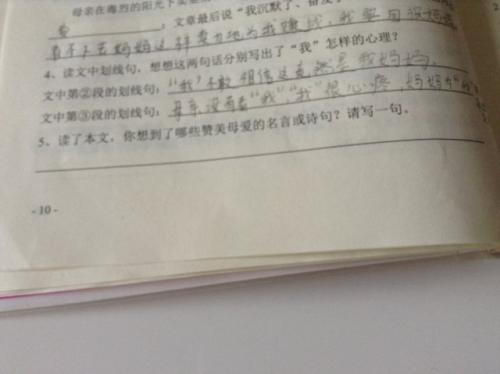关于母爱的一句名言