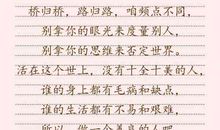 表示鄙视的句子