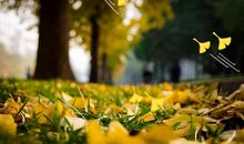 雪与庄稼的谚语