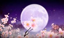 表达思念亲人的诗句