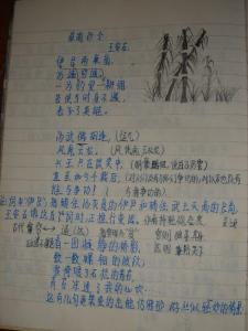 描述阅读的句子