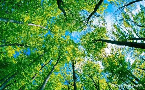 这个女孩太坚强以至于不敢说话