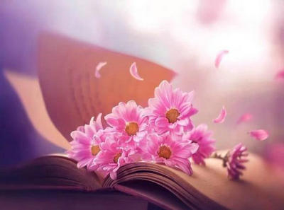 人们说,输了就可以珍惜。实际上,珍惜后的损失比什么都痛苦得多。 1个