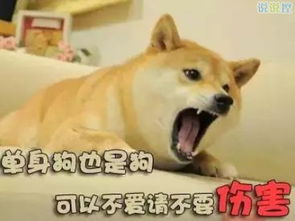 一个有趣的谈话