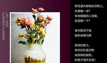 女鞋创意广告语