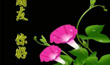 对美女的祝福语大全