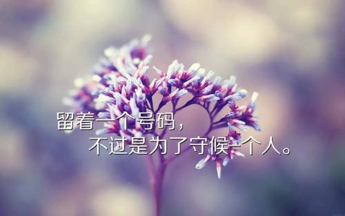 朋友圈中的美丽句子