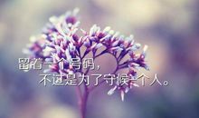 朋友圈的优美句子