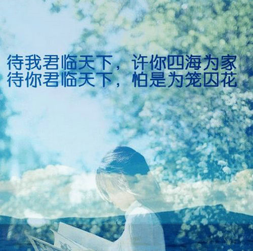 带有单词，漂亮句子和精美小图片的精美图片3