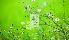 关于春分的农业谚语