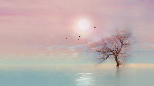 审美和艺术句子，艺术品和艺术作品2