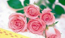 白色情人节的祝福语