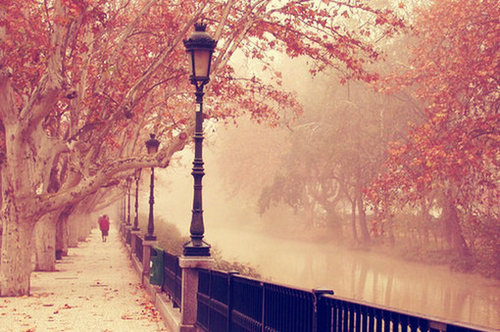 审美和艺术句子，艺术和艺术图画