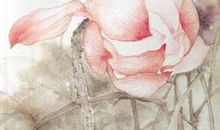 孤芳不自赏经典句子