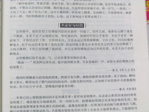 关于春节的好词和句子