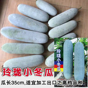 冬瓜看起来像什么比喻