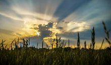 表示淡定的诗词