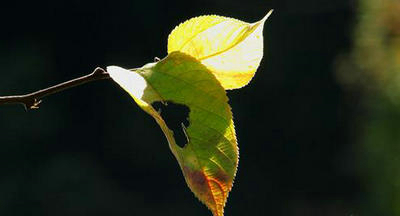 拾起不完整的记忆,我知道原来的爱早已消失了。