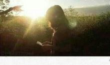 表达思念朋友的诗句