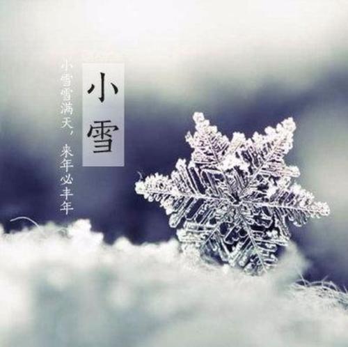 关于二十四个节气小雪的谚语