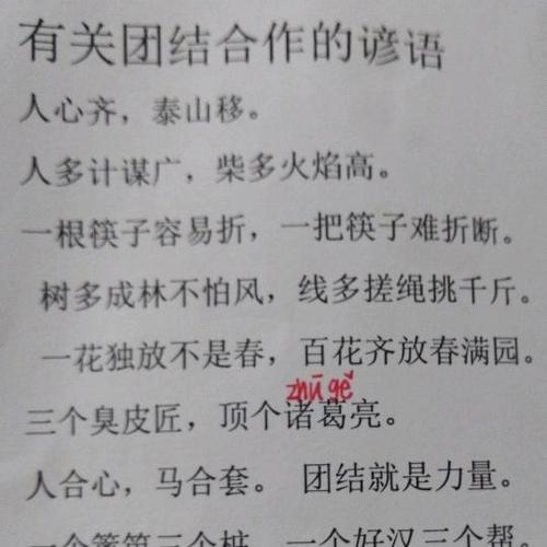 表达团结与友谊的谚语